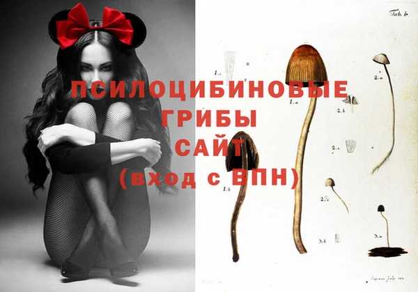ешки Алексеевка